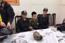 Khởi tố 9x táo tợn chở 5 “chúa sơn lâm” đông lạnh