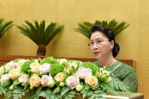 Quốc hội lên án hành vi kích động, quá khích gây mất ANTT