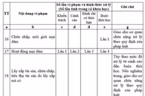 Bộ GD&ĐT suýt biến “Quỳnh Búp bê” thành cô giáo