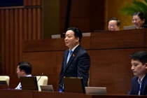 Bộ trưởng TNMT: Người nước ngoài mua đất ở đặc khu là trái pháp luật