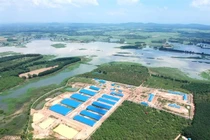 10 triệu dân suýt dùng nước phân lợn vì trang trại nuôi heo trên đầu nguồn