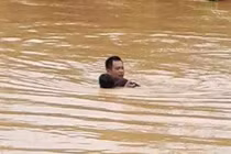 Người chết, nhà sập đổ, gia súc, gia cầm bị chết...do mưa lũ