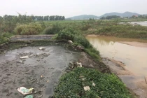 Công ty môi trường Chí Linh xả chất thải: Lãnh đạo nói “chỉ sai một chút“