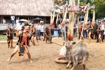 Chỉ đạo nóng vụ bắt dân nghèo đóng tiền tổ chức lễ hội đâm trâu