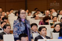 Doanh nghiệp FDI khai lỗ triền miên nhưng vẫn mở rộng sản xuất