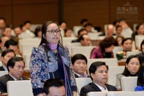 Doanh nghiệp FDI khai lỗ triền miên nhưng vẫn mở rộng sản xuất