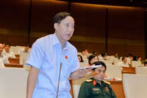 Cần khởi tố một số chủ đầu tư, chấn chỉnh quản lý chung cư