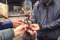 Nổ lớn ở Bắc Ninh: Điều tra việc “mua phế liệu từ Trung tâm xử lý bom mìn”