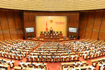 Đại biểu Quốc hội: Không ai muốn thêm "củi" vào lò khi đặc khu ra đời!