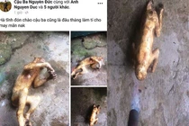 Giết động vật hoang dã khoe MXH: Vì sao cái ác được công khai?