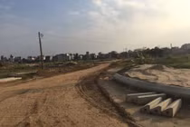 Sai phạm “khủng” của Công ty Newland: “Con voi suýt lọt lỗ kim”