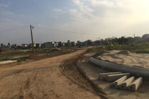 Sai phạm “khủng” của Công ty Newland: “Con voi suýt lọt lỗ kim”