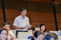 ĐBQH: Đáng tiếc hàng ngàn ha “đất vàng” chỉ đổi lấy trụ sở, cổng chào