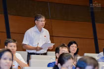 ĐBQH: Đáng tiếc hàng ngàn ha “đất vàng” chỉ đổi lấy trụ sở, cổng chào