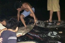 Hoang tin bắt cóc trẻ em: Đám đông và nỗi sợ hãi