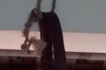 Xác thanh niên treo lủng lẳng trên cầu