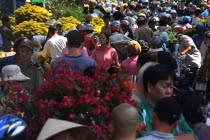 Hàng ngàn người đổ xô mua hoa hạ giá