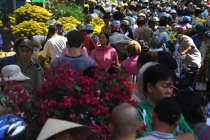 Hàng ngàn người đổ xô mua hoa hạ giá
