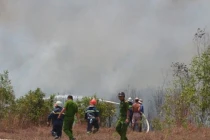 Cháy kinh hoàng rừng phòng hộ phía Tây TP HCM