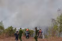 Cháy kinh hoàng rừng phòng hộ phía Tây TP HCM