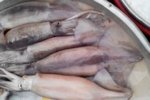 Sự thật mực lạ khủng, siêu rẻ ở TP HCM