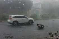 TP HCM: Cuồng phong kinh hoàng đốn loạt cây xanh, chèn chết người