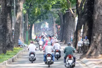 “Biểu tượng rừng xanh” giữa Sài Gòn sắp bị khai tử