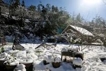 Dự đoán những điểm tuyết rơi trong mùa đông ở VN