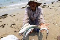 Bổ sung 50,672 tỷ giải quyết sự cố môi trường tại miền Trung