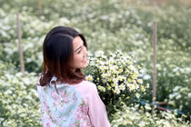 Ảnh: Nam thanh nữ tú Hà thành cuồng si cúc họa mi