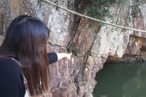 Giải mã chuyện rắn khổng lồ ở Quảng Ninh