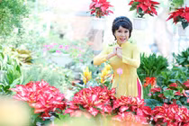 Việt Hương dịu dàng với áo dài chúc Tết Bính Thân 2016