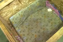 Bố mẹ bắt con gái 3 tuổi ngủ trong hộp đầy gián chết