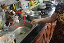 Hà Nội: Dân phát khiếp khi sống chung đường nước đầy giun sán