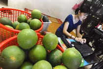 Trăm phương ngàn kế trốn thuế kinh doanh qua Facebook 