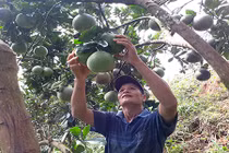 17 năm chịu cảnh “giời hành” biến đồi hoang thành trang trại bạc tỷ