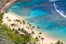 Việc “xử lý phát ngôn Quy hoạch Sơn Trà“: TCT Tổng cục Du lịch xin nhận trách nhiệm