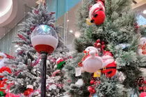Ý tưởng trang trí cây thông Noel trong nhà và ngoài trời