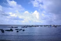 Phát hiện thêm 2 thi thể tại khu vực tìm kiếm CASA 212