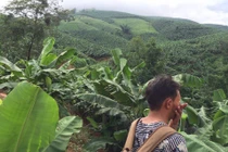 Những thông tin lần đầu tiết lộ về vụ thảm sát ở Lào Cai