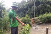 Thông tin mới rợn người về vụ thảm sát ở Lào Cai