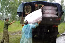 Mưa lũ miền Trung: 30 người chết, thiệt hại hơn nghìn tỷ đồng