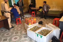 Cục CSGT phối hợp bắt xe khách chở 100kg pháo lậu