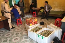 Cục CSGT phối hợp bắt xe khách chở 100kg pháo lậu