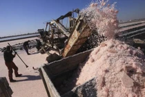 Chiêm ngưỡng cảnh đẹp từ đầm muối hoang ở Crimea