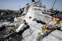 Hạ viện Đức: MH17 bị bắn hạ bởi tên lửa SA-3?