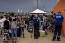 Người Ukraine thích ứng với cuộc sống ở Nga như thế nào? (1)