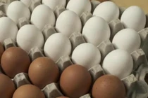 Giá trứng gà ở đây tăng gấp đôi vì dịch cúm bùng phát