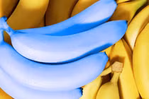 Chuối xanh lam, táo đen và những loại quả lạ chưa thể trồng ở Việt Nam