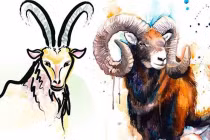 Cuối tháng 3: Con giáp lội ngược dòng, nắm ngay cơ hội kiếm tiền tỷ 